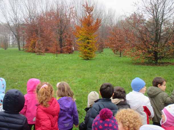 L'incanto della natura al Forlanini di Milano