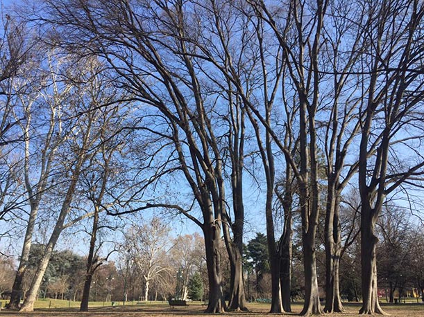 parco sempione