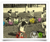 Image Image