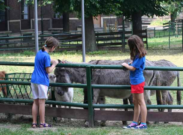educazione all'aperto