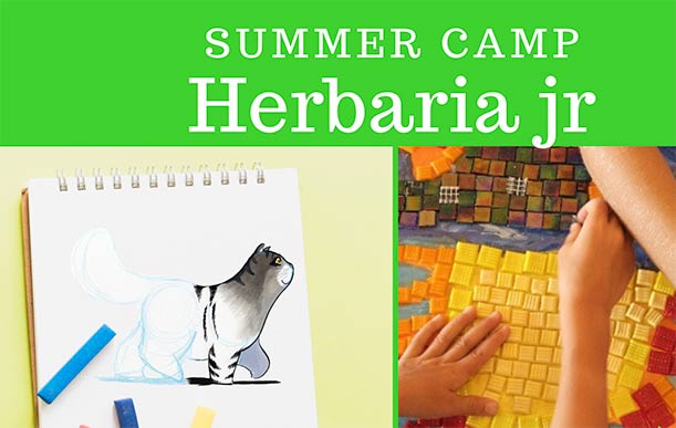 Campus: palestra d’Arte Kids & Teens