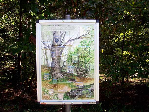 Escursione al Parco di Appiano Gentile a Tradate