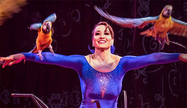 Stasera si va al circo!