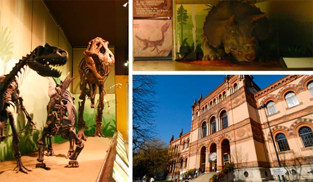 Museo Civico Di Storia Naturale