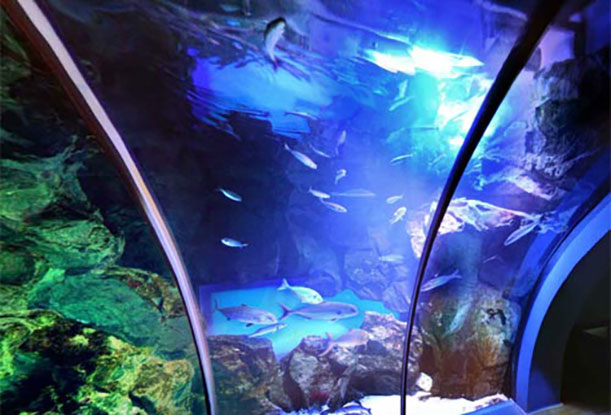 L'Acquario Civico con i bambini