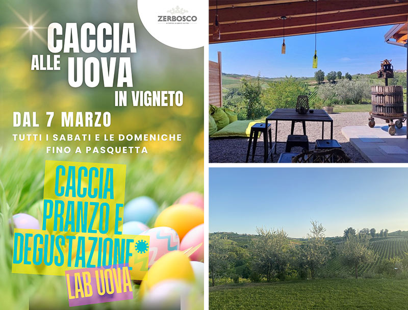 caccia alle uova tra i vigneti zerbosco