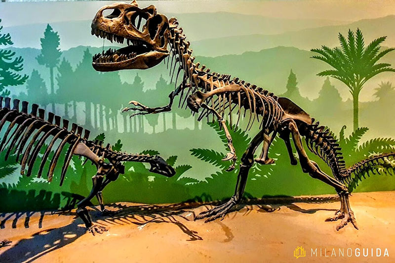 museo storia naturale