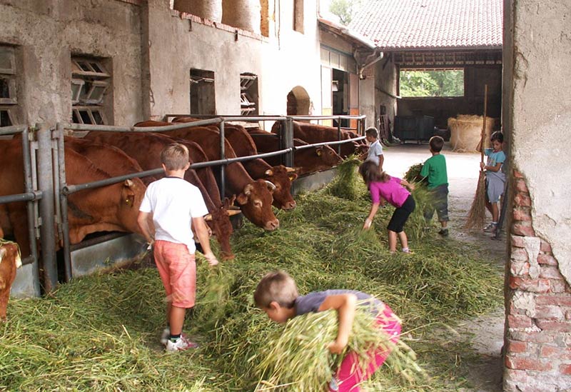 cascina batt