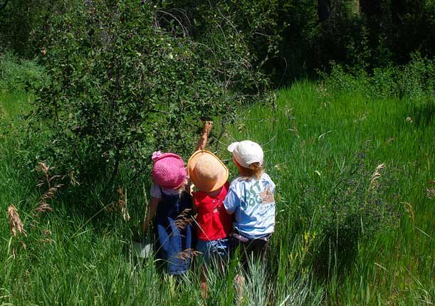 Camminare (fuori porta) con i bambini, alla ricerca del cibo selvatico