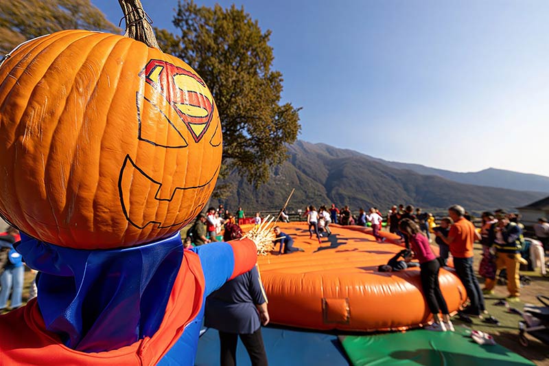 zucca gigante