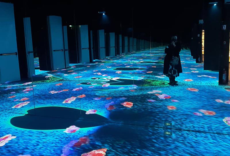 La grande mostra su Claude a Palazzo Reale