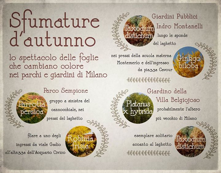 sfumature d'autunno