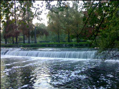 Quel mazzolin di fiori che vien dal Parco Lambro