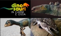 Dinosauri in carne ed ossa