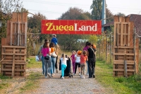 evento con zucche a milano