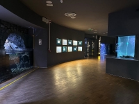 Acquario di Milano