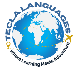 ics international