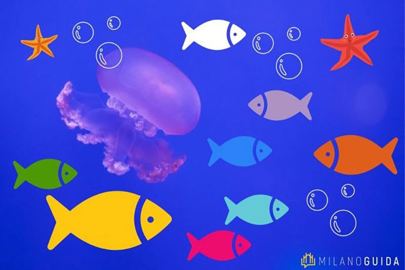 acquario civico