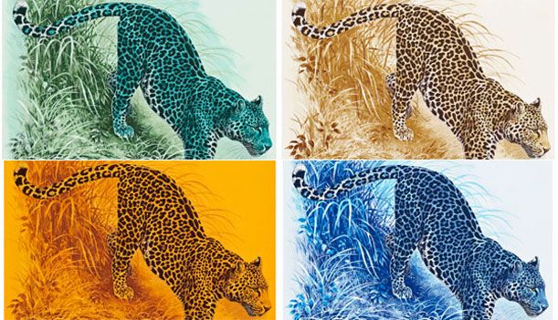 Forte e fragile: i grandi felini nell’arte di Robert Dallet - GAM