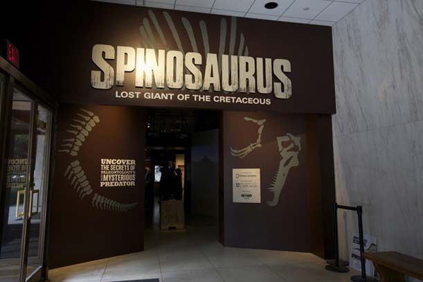 Spinosaurus: piccoli paleontologi a cena con i dinosauri